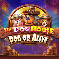 The Dog House - Dog or Alive